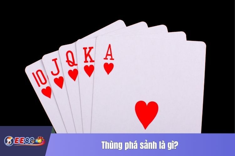 Thùng phá sảnh là gì?