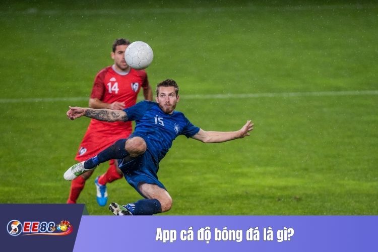 App cá độ bóng đá là gì?