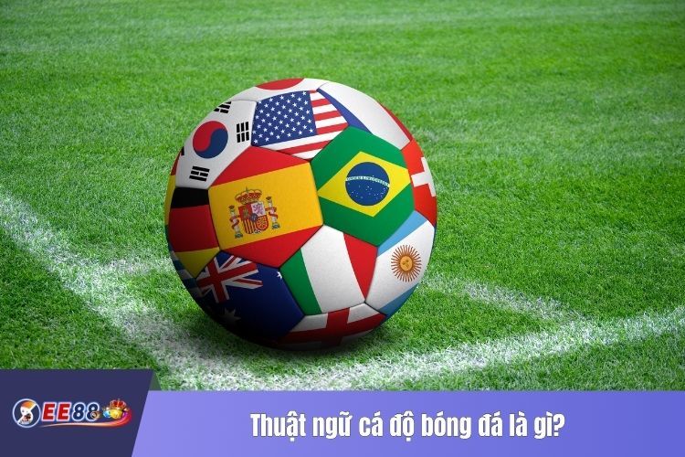 Thuật ngữ cá độ bóng đá là gì?