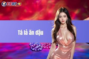 Tá lả ăn đậu - Bật mí kinh nghiệm cược bất bại cho tân thủ